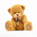 12  Inch Adorable Teddy Bear Surprise