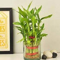 2 Layer Bamboo Glassvase