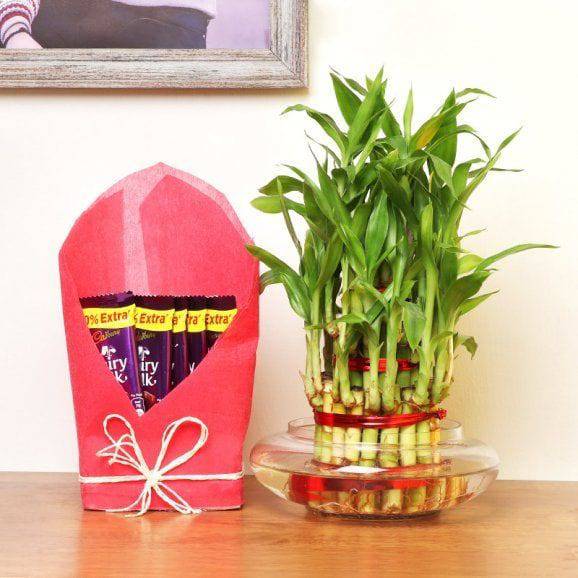 3 Layer Bamboo Gratification