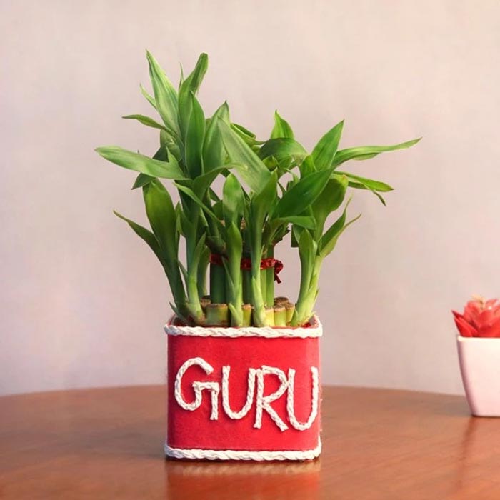World's Best Guru