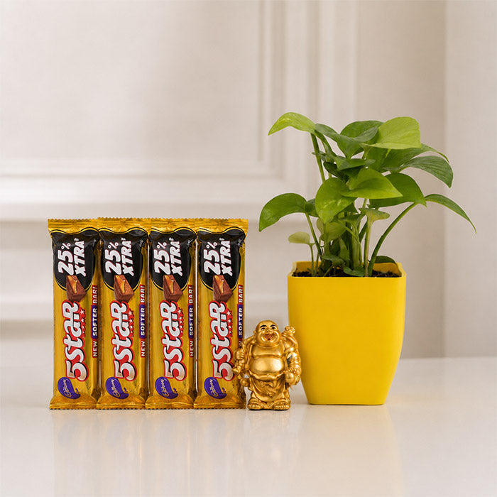 Lucky & Delightful Money Plant Gift Hamper