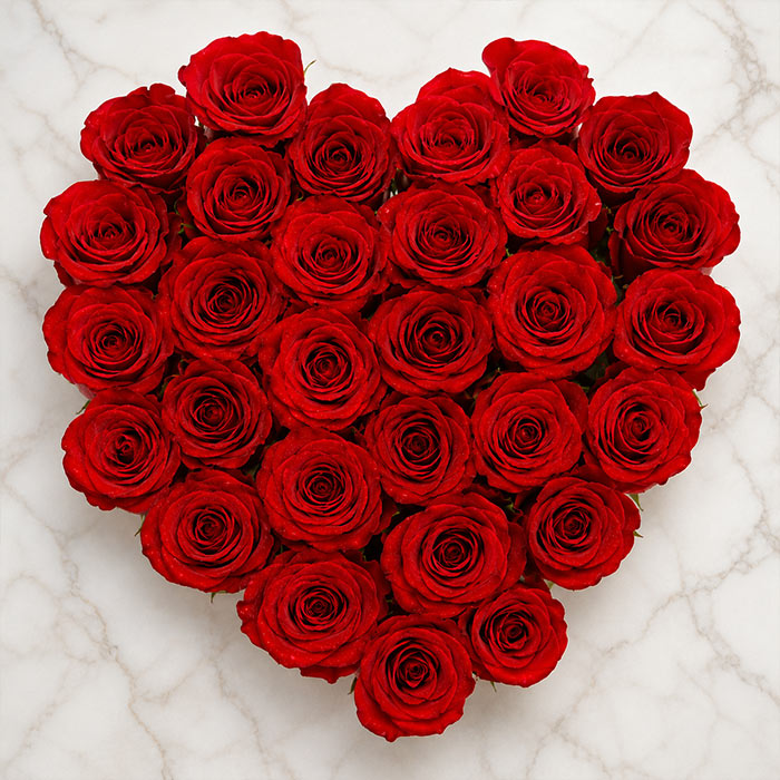 The Blooming Love