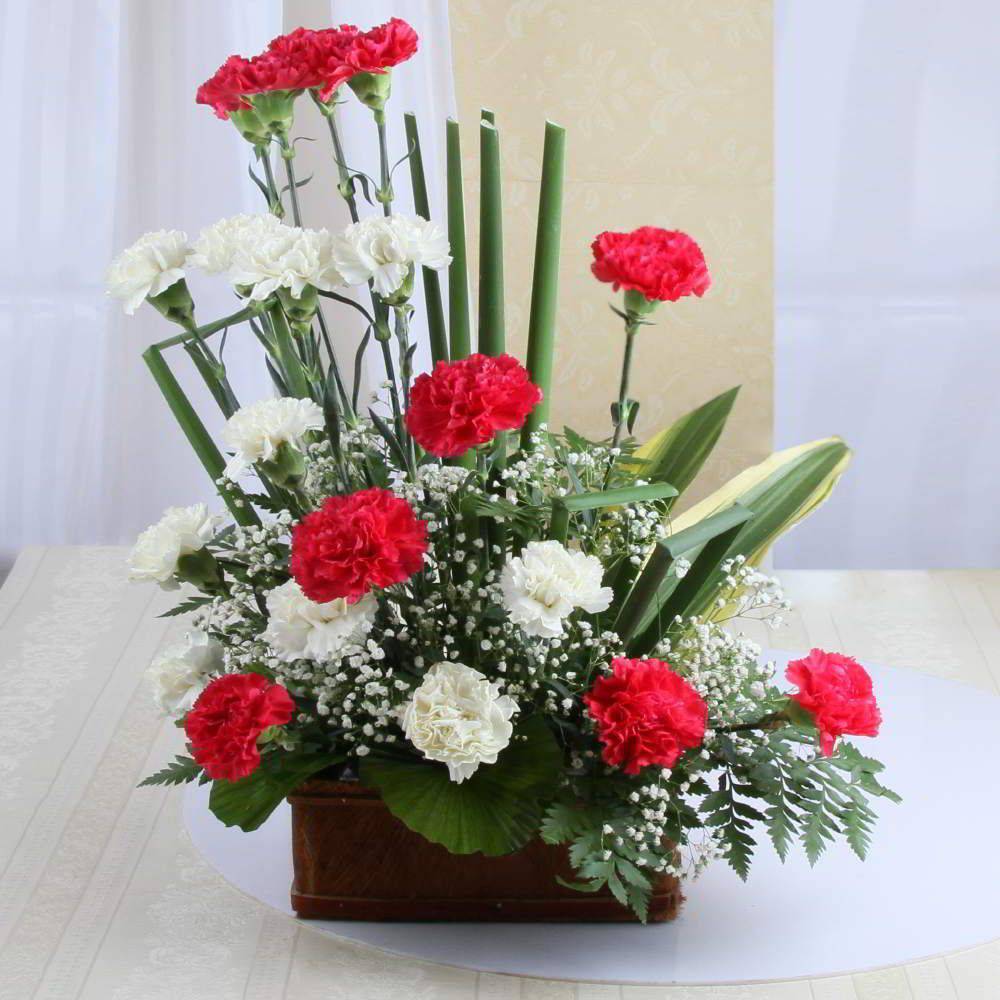 Arrangement Of Twin Color Carnation