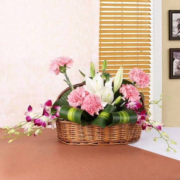 Asiatic Arrangements surprise