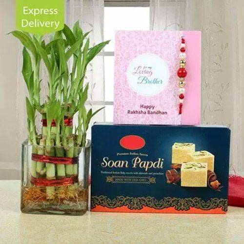 Bamboo Plant Rakhi Combo