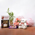 Blissful Gift Combo Wishes