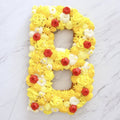 Bonding Memories B Alphabet Cake