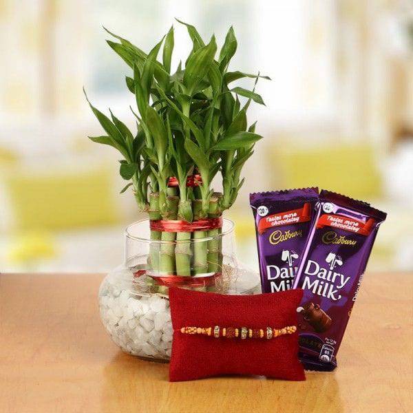Chocolate and Luck