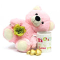 Chocolate Mug Teddy Combo
