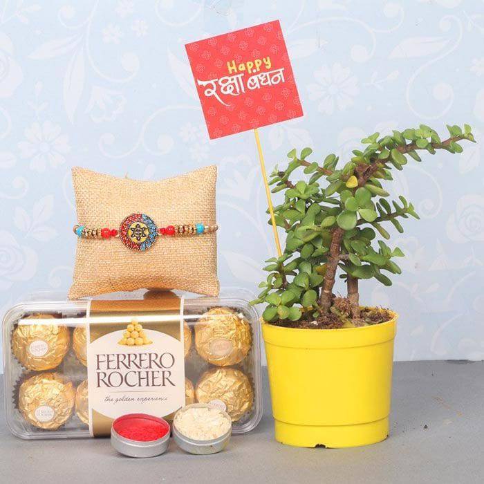 Chocolatey Jade Rakhi Combo Gift