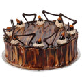 Coffee & Almond Cake 1 kg