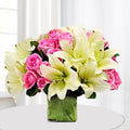 Dazzle Flower