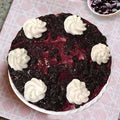 Delicious Blueberry Delight