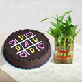 Delicious XOXO Cake with Lucky Bamboo