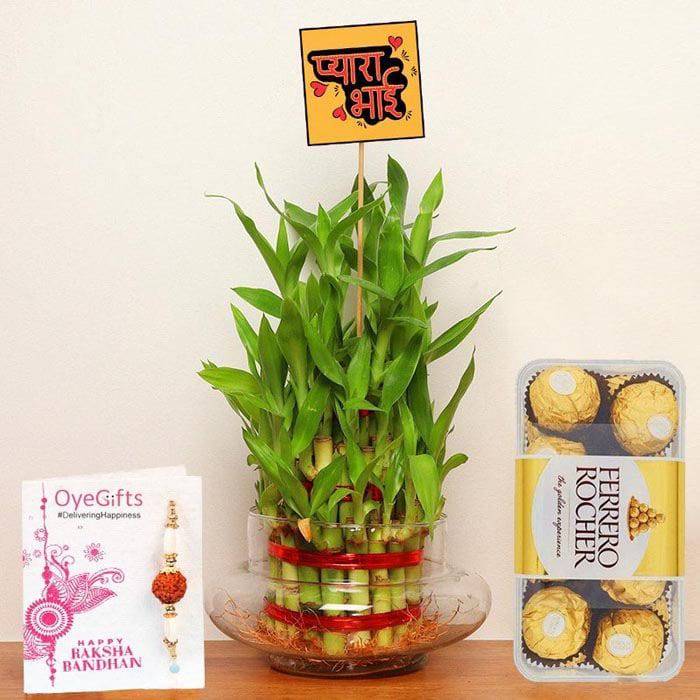 Designer Rakhi Bamboo Plant N Chocolates