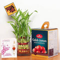 Designer Rakhi With Gulab Jamun N Bamboo Plant