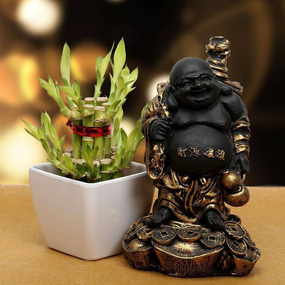 Good Fortune Gift Set
