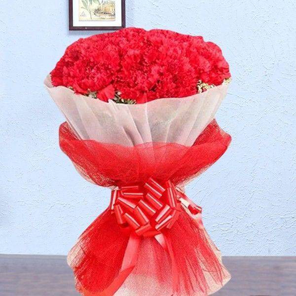 Lovely Bunch Of Red Carnation