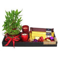 Lucky Bamboo N Chocolates Tray