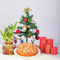 Merry Christmas Cake Combo