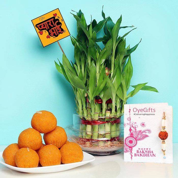 Motichur Laddoo with 3 Layer Bamboo Rakhi Gift
