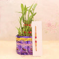 Rakhi with Chocolate Bamboo