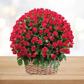 Roses Basket - Extra Large