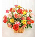 Ruby Colorful Basket
