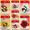 Seven Days Surprise
