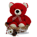Teddy N Basket