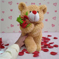 Teddy with Red Rose