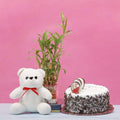 Token Of Tenderness Wishes