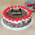 Toothsome Choco