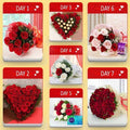 Valentine Plan