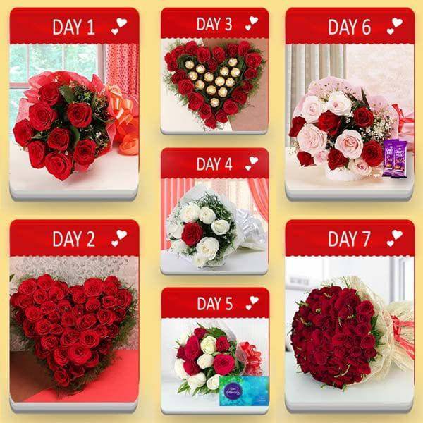 Valentine Plan