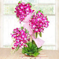 Wow Arrangement